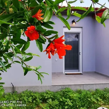 Appartement Ktima Mimoza