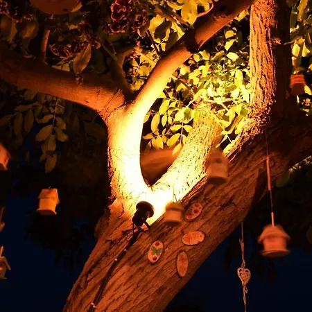 Ktima Mimoza Apartament *