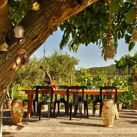 Ktima Mimoza Sykia Chalkidikis