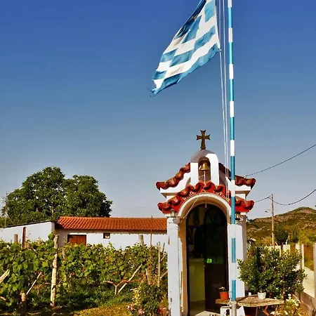 Ktima Mimoza Sykia Chalkidikis