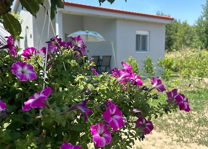 Appartement Ktima Mimoza