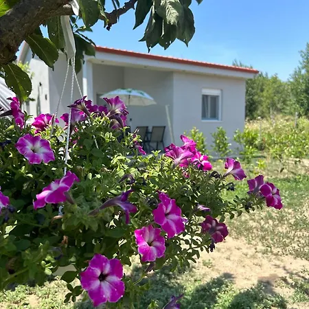 公寓 Ktima Mimoza